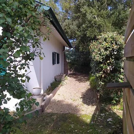 Charming Near Hossegor Golf And 카브레톤