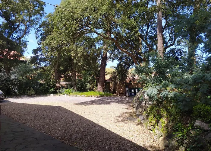 Charming Near Hossegor Golf And Villa Capbreton