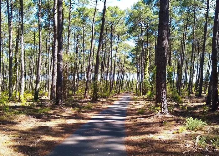 Villa Charming Near Hossegor Golf And Capbreton